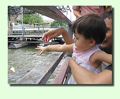 20060517_img_1838a