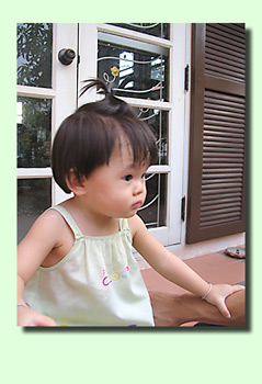 20060607_img_1852a