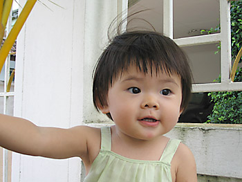 20060818_img_1998a