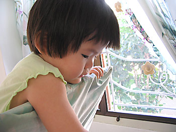 20060911_img_2053a
