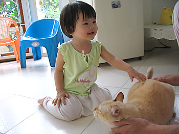 20060921_catcat