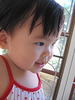 20060921_img_2093a