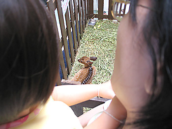 20061024_zoo1