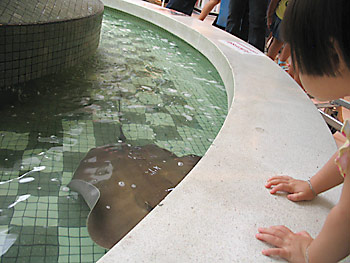 20061024_zoo10