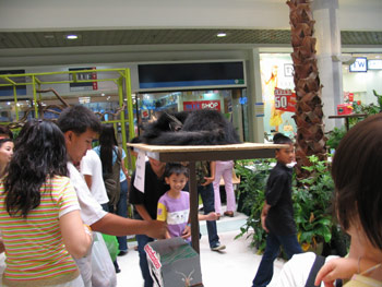 20061024_zoo2