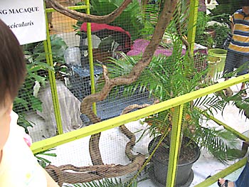 20061024_zoo3