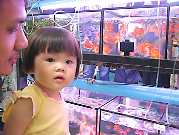 20061024_zoo4