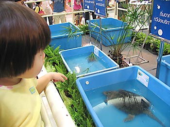 20061024_zoo6