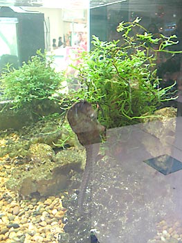 20061024_zoo7