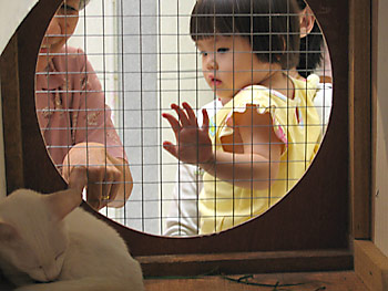 20061024_zoo8