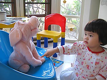 20061106_pig1