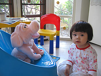 20061106_pig2