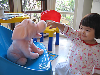 20061106_pig3