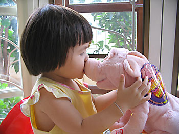20061106_pig4