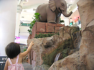 20061114_water1