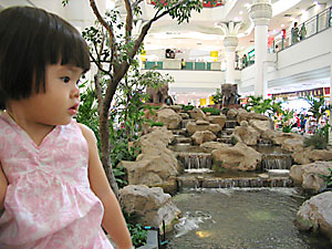 20061114_water2