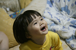 20061130_img_0355rr