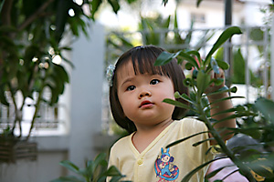 20061213_p1
