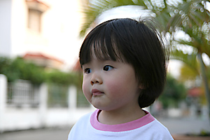 20061218_lom2