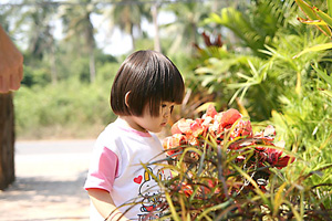 20061226_maeklong7r