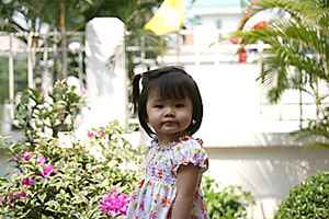 20070205_d1