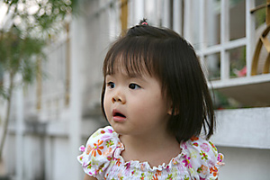 20070205_d6