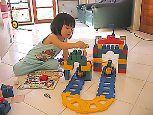 20070326_lego1