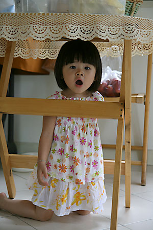 20070508_cook9