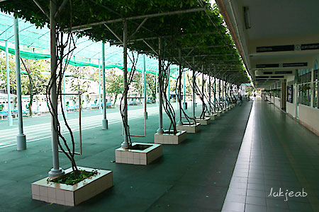 somspa08.jpg