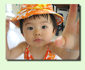 img_1779a.jpg