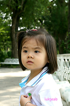 tr01.jpg