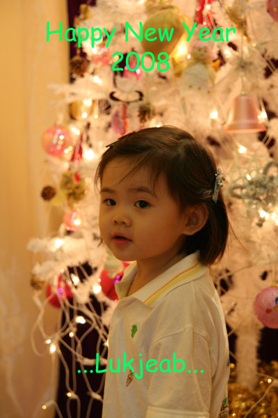 newyear2008.jpg