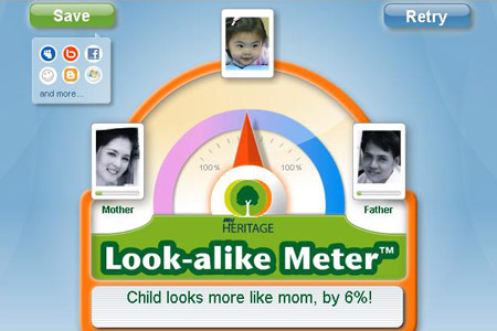 alikemeter03.jpg