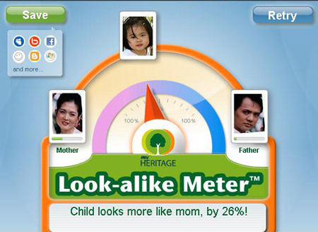 alikemeter04.jpg