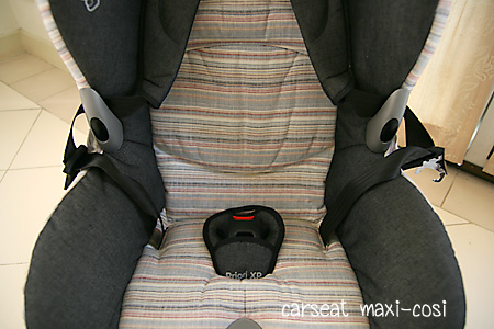 car05.jpg