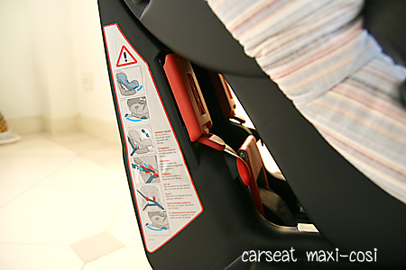 car11.jpg