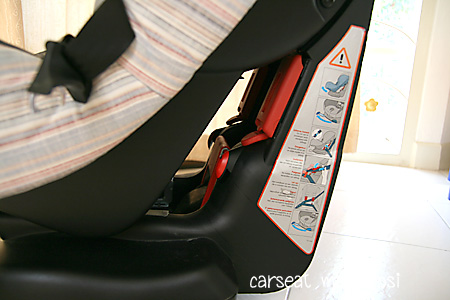 car12.jpg