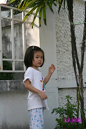 fence04.jpg