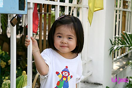 fence08.jpg
