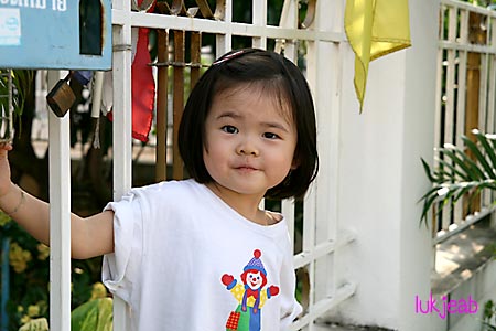 fence10.jpg