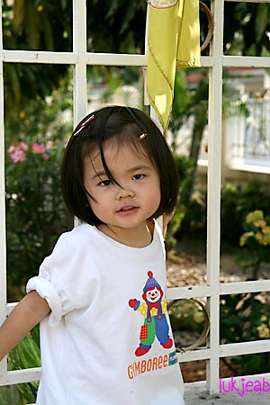 fence14.jpg