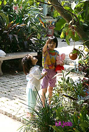 garden06.jpg
