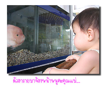 20051109_lj1136a.jpg