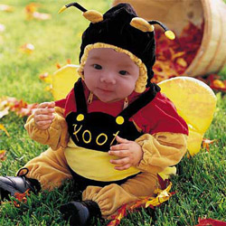 20051125_lj_bee.jpg