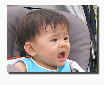 20051213_lj1252.jpg