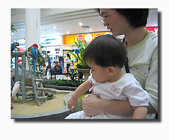 20051213_lj1288.jpg