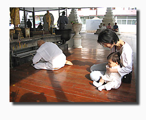 20060104_lj1339.jpg