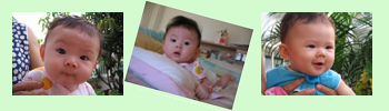 20060106_fy3.jpg