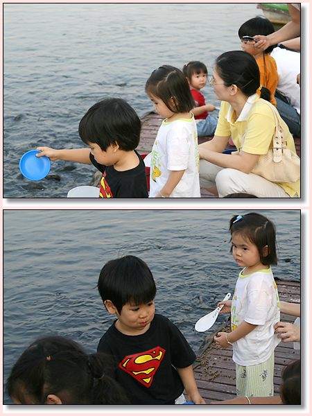fish04.jpg