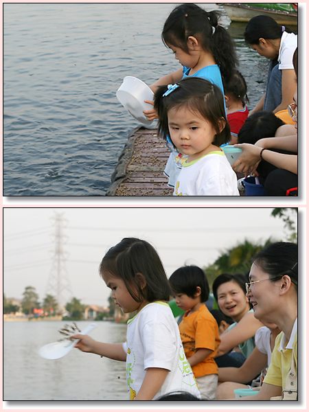 fish05.jpg